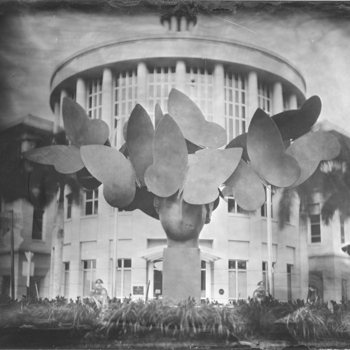 MARIPOSA DE BRONCE 1A